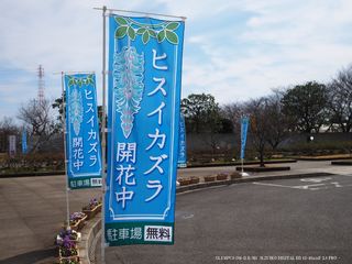 01.jpg