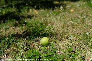 06.JPG